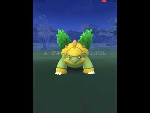 【ポケモンGO】初めて、野生のハヤシガメに遭遇！