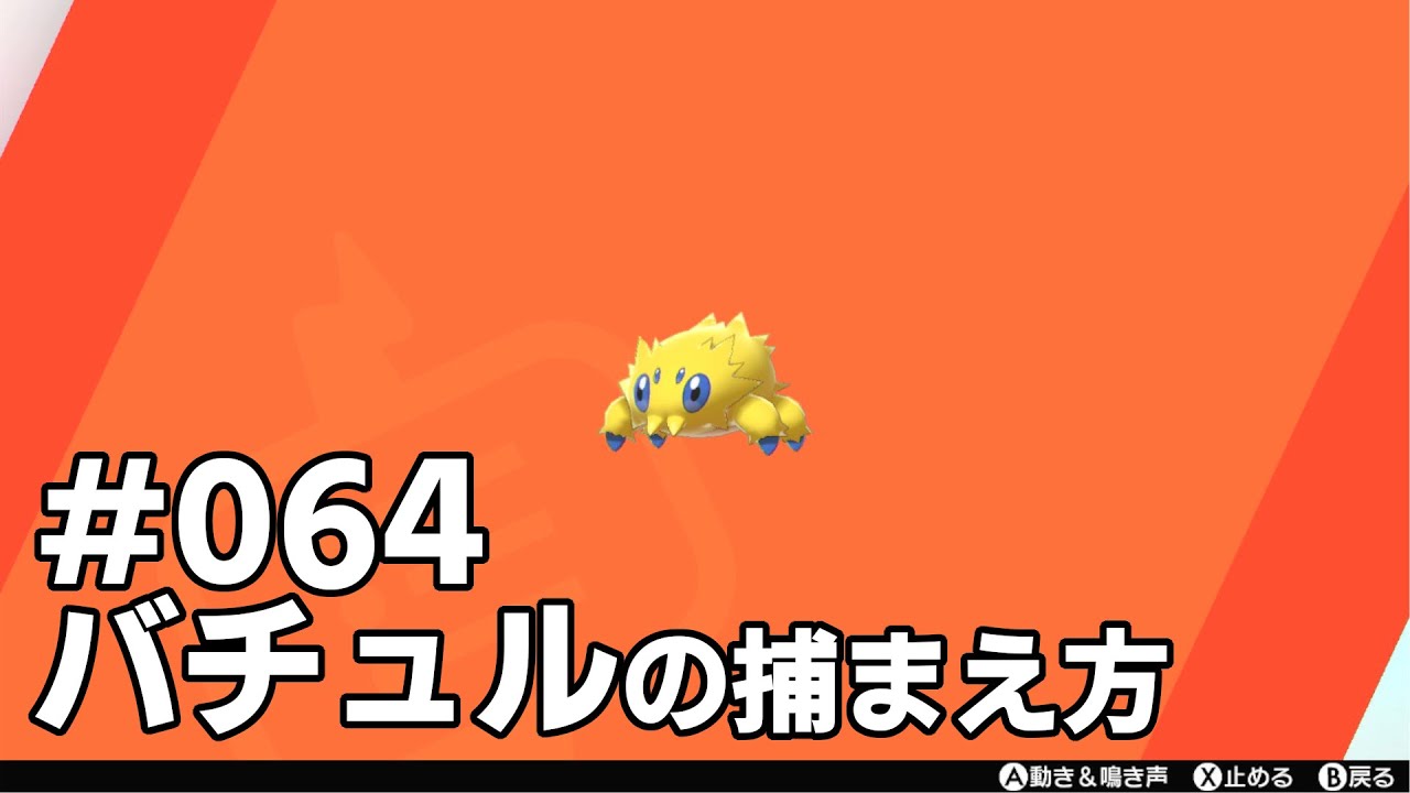 バチュルを探している方に見てほしい動画