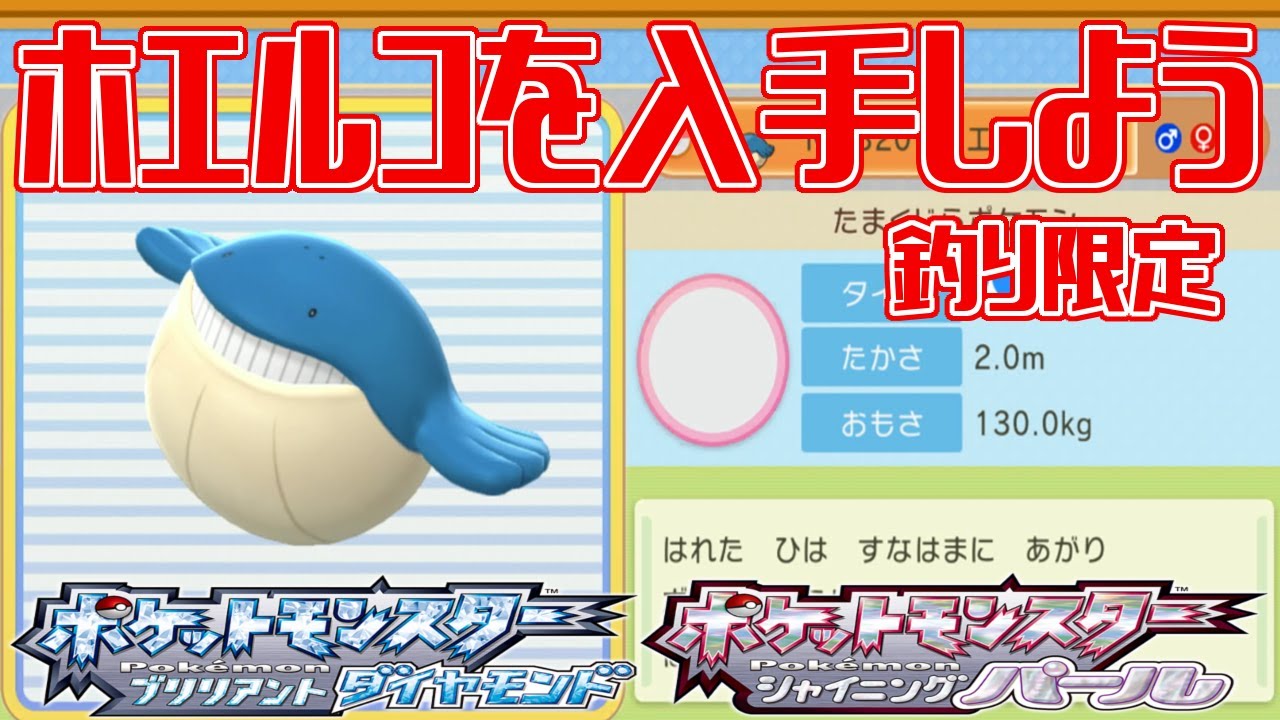 【ポケモンダイパリメイク】ホエルコを入手しよう 釣り限定 223番230番水道【ポケットモンスター ブリリアントダイヤモンド・シャイニングパール】Pocket Monsters