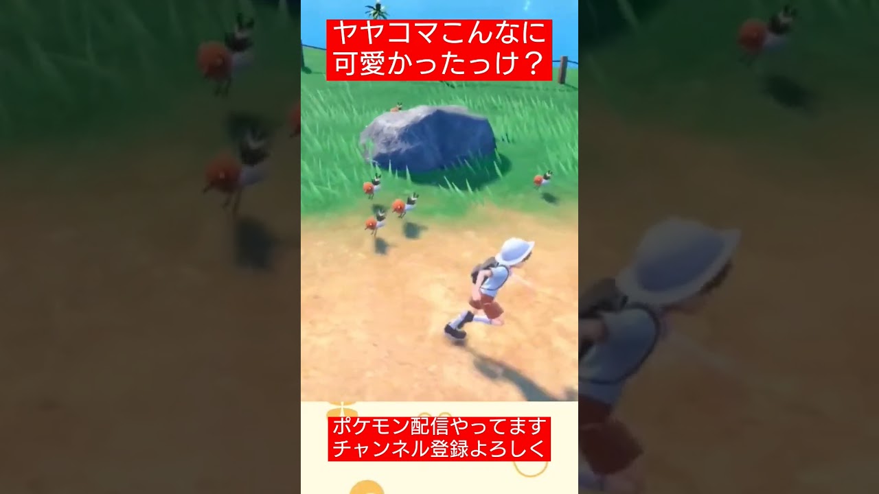 【#ポケモンsv 】ヤヤコマの群れめっちゃ可愛い