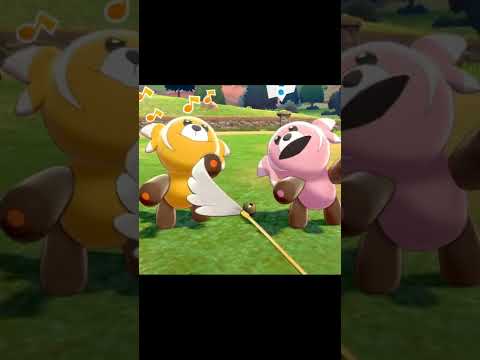 ポケじゃらしで遊ぶヌイコグマたち　#Shorts