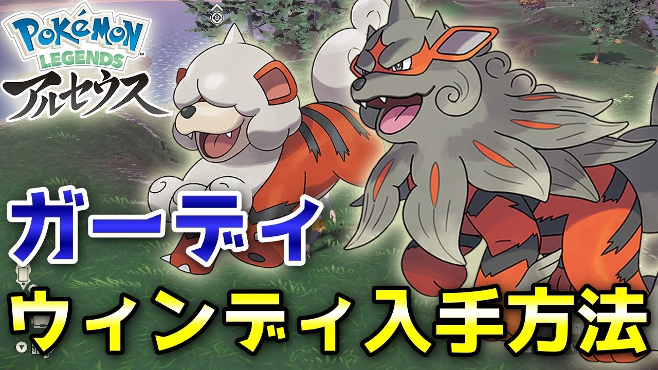 【アルセウス】ガーディ・ウィンディ入手方法！進化方法も解説します！【ポケモン レジェンズ】