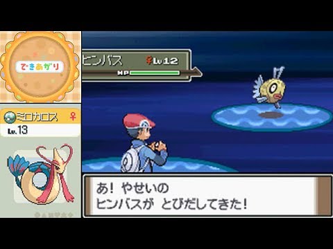 【懐かしの】ポケモンプラチナ「ヒンバス」捕獲 ポフィン作り ミロカロスへ進化