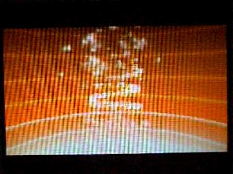 メグロコからワルビルに進化！