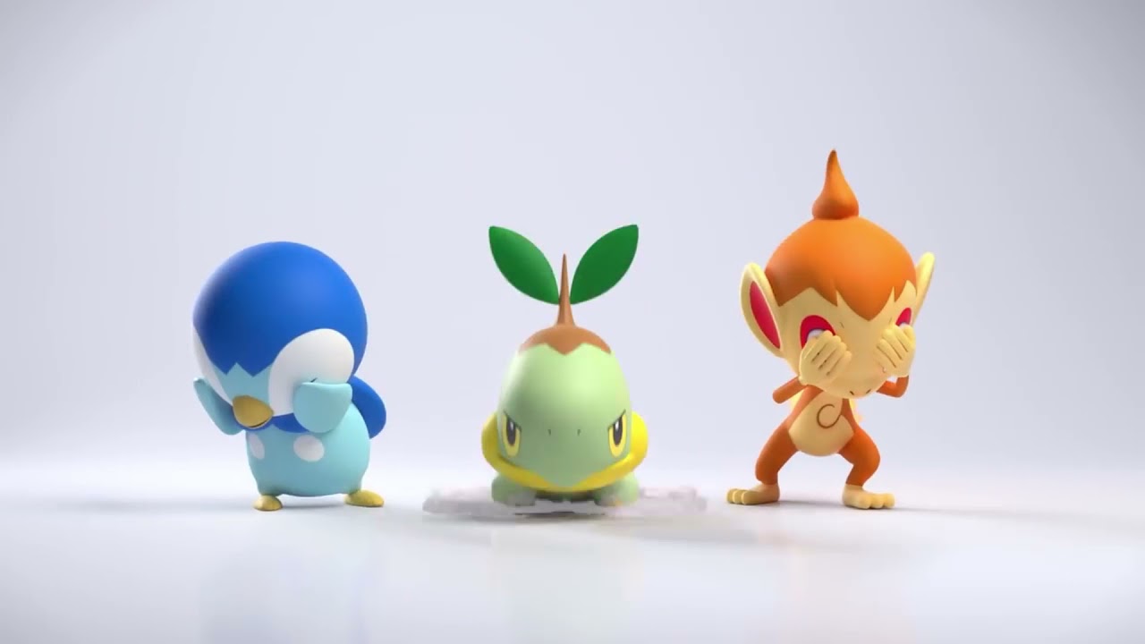 重すぎるナエトル