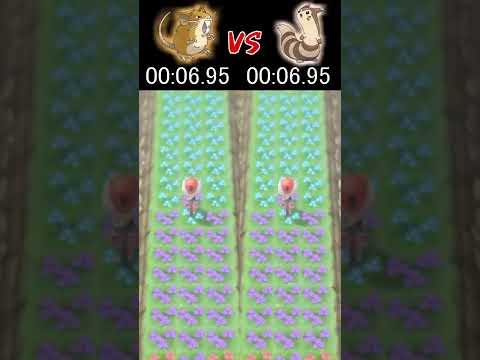 ラッタ VS オオタチ 速いのはどっち？【ポケモンBDSP】#shorts