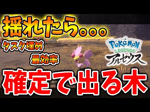 【レジェンズ アルセウス】揺れたら確実！チェリンボ＆チェリムが確実に出る木が凄い【ポケモン/Pokémon LEGENDS/攻略/アプデ/アップデート/DLC/ダウンロードコンテンツ】