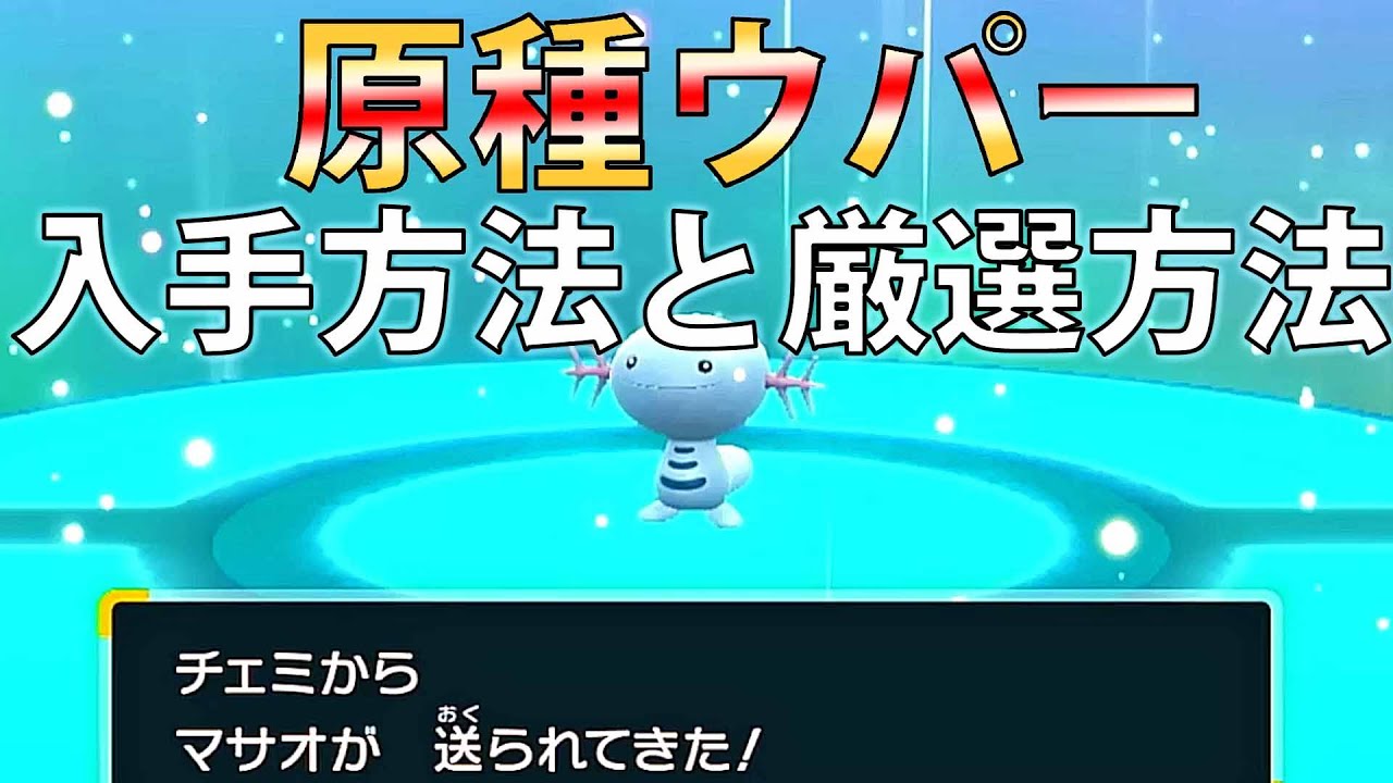 【超簡単】原種ウパーを入手方法と厳選方法を解説【ポケモンSV】