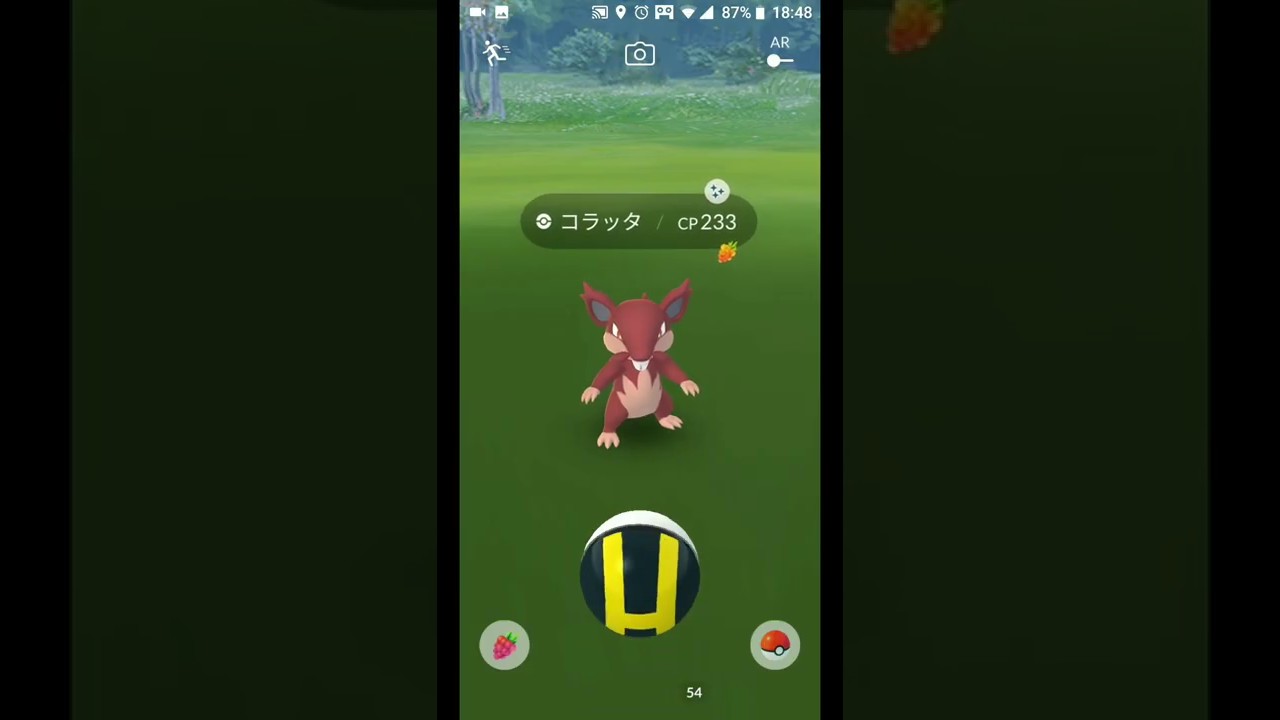 アローラ コラッタ 色違い GET！！