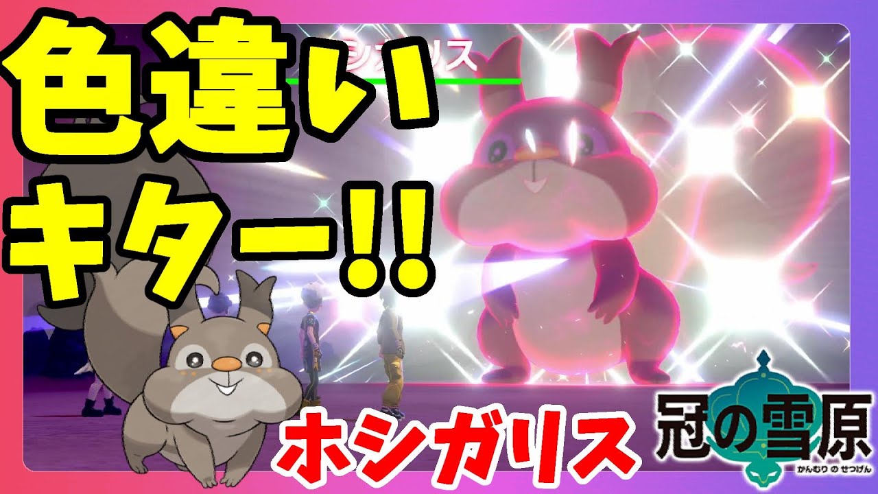 【ポケモンソードシールド】色違いホシガリスきたー！！ついに出会ったイベントレイドの色違い！冠の雪原【エキスパンションパス】