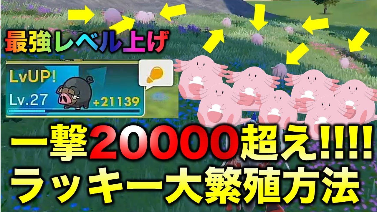 【無限ラッキー経験値稼ぎ】10分でレベルが40上がります【ポケモンSV/スカーレット・バイオレット】