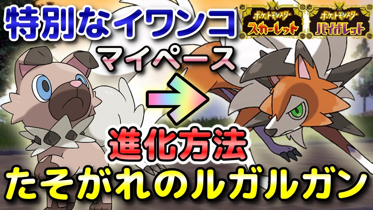 【ポケモンSV】特別なイワンコ（マイペース）の入手方法・出現場所！『たそがれ』のルガルガンへの進化条件も解説します！【スカーレット・バイオレット】