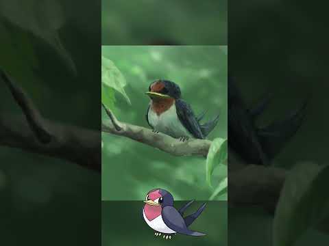 そのへんにいそうな【スバメ】描いてみた