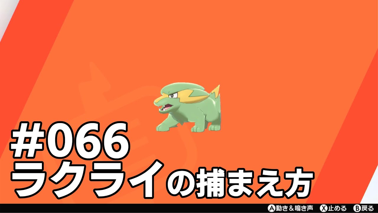 ラクライを探している方に見てほしい動画