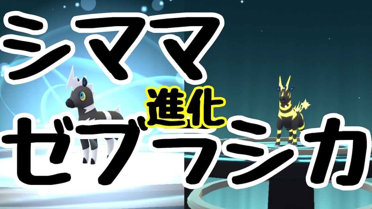 【ポケモンGO】進化！光った？　シママ　→　ゼブライカ