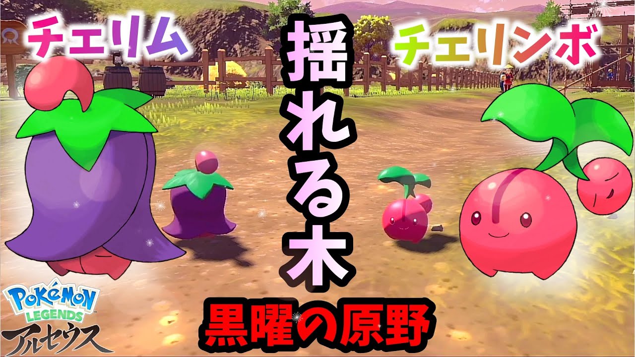 【ポケモンアルセウス 】黒曜の原野 チェリム・チェリンボ 揺れてる木の場所！