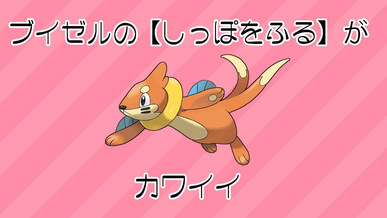 ブイゼルの【しっぽをふる】がただカワイイだけの動画