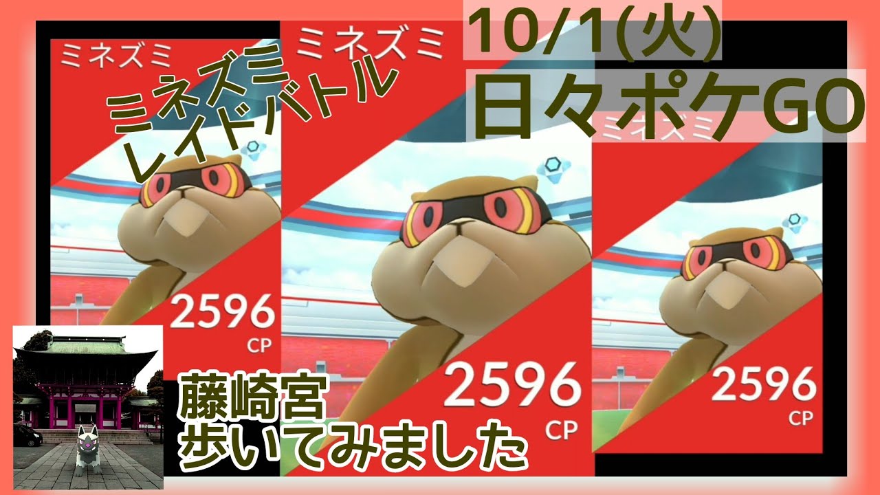 10/1(火) 日々ポケGO「ミネズミ・レイドバトル‼️ 藤崎宮歩いてみました🚶」