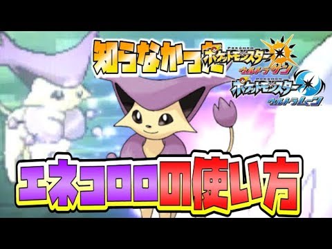 【猫のポケモンUSUM】エネコロロの使い方を勘違いしていました【ポケモンウルトラサン ウルトラムーン】【ダブルバトル】