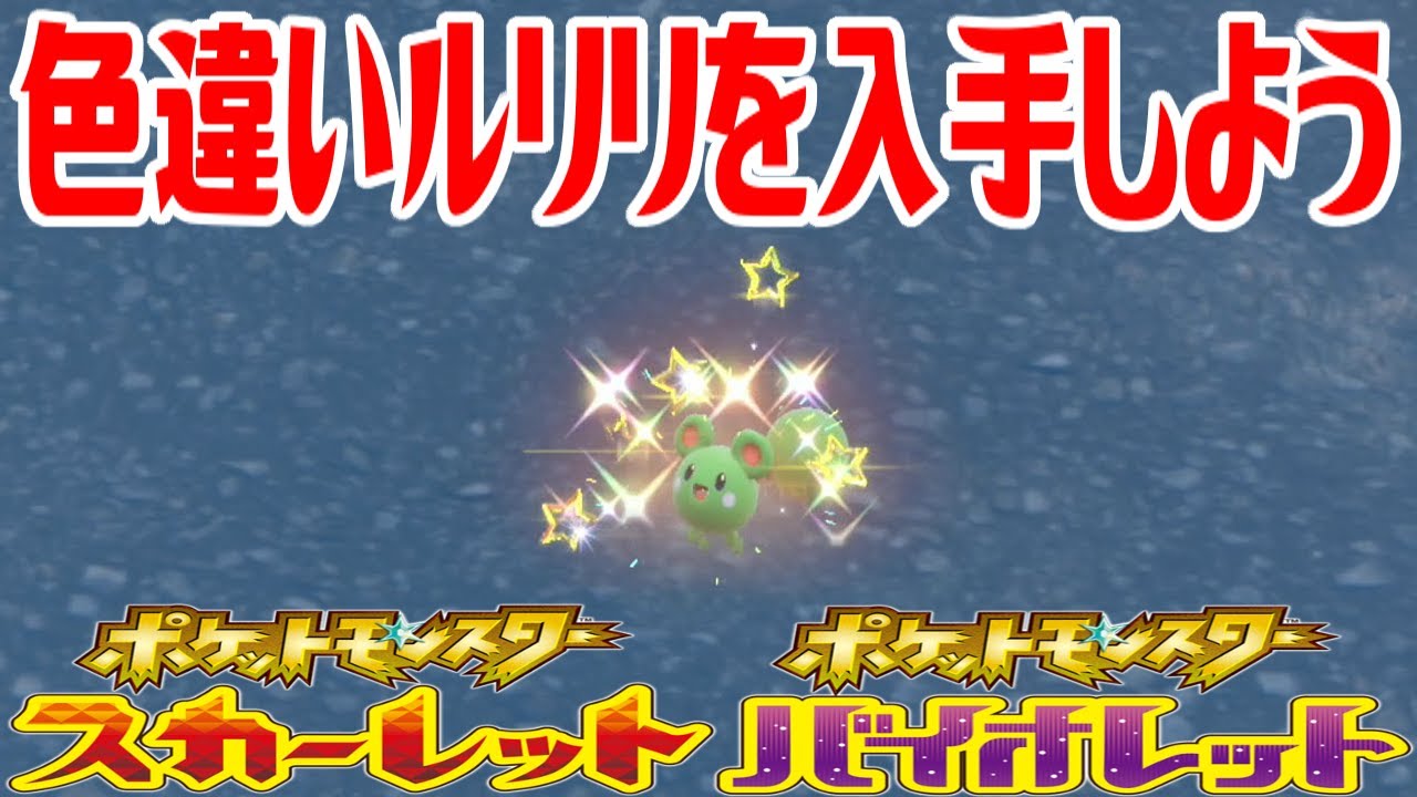 【ポケモンSV】色違いルリリを入手しよう【ポケットモンスター スカーレット・バイオレット】Pocket Monsters