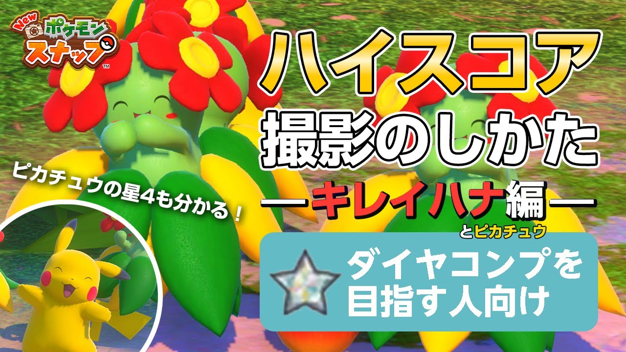 New ポケモンスナップ  星1~星4のキレイハナをハイスコア・高得点（4000点以上）で撮るコツを紹介。ピカチュウの星4の撮り方も分かる！ ダイヤコンプ目指している人にもおすすめ！
