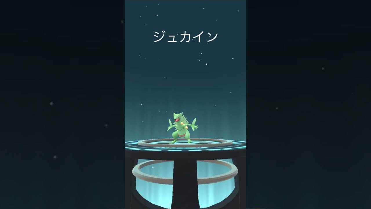ジュプトルの進化✨