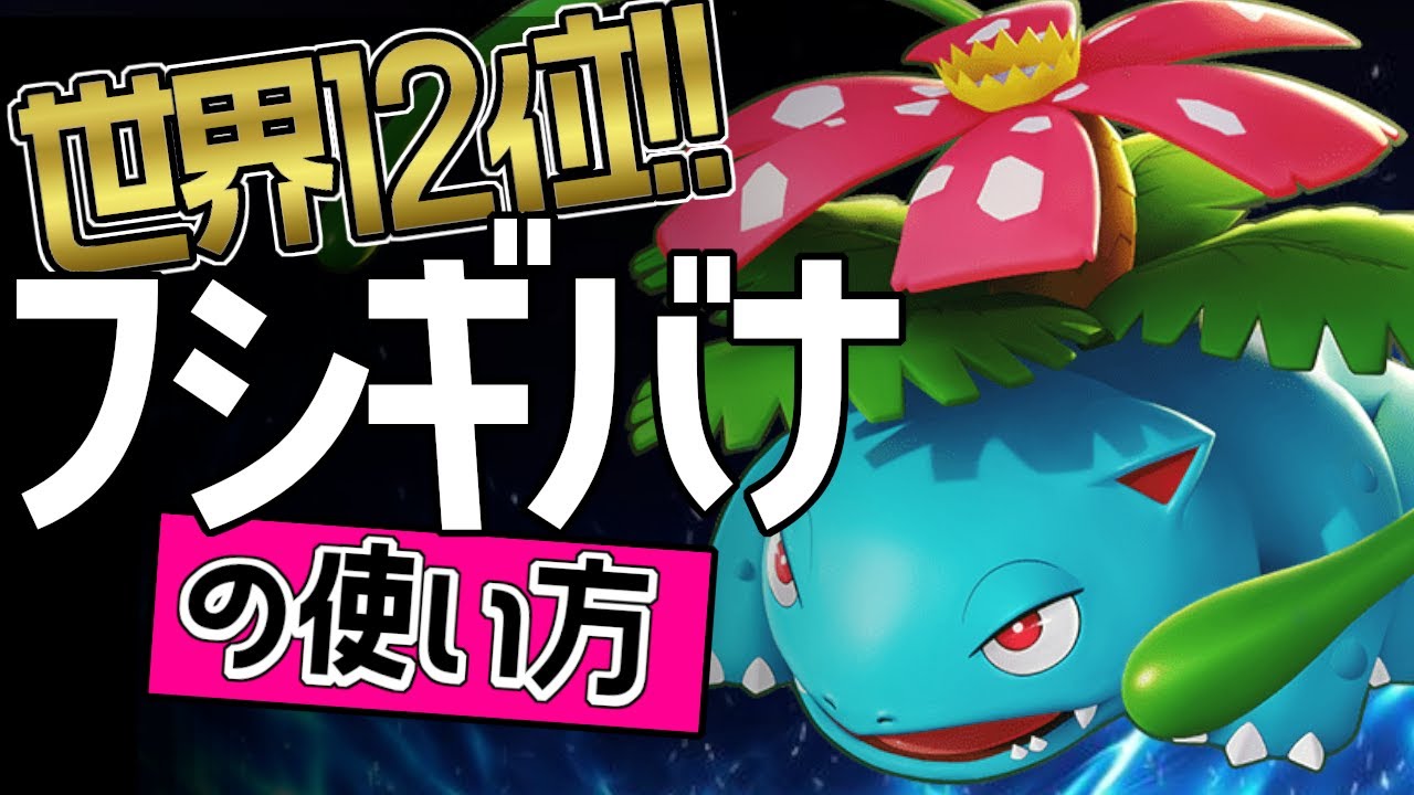 🔥１３万ダメージ ！！👀Stockings選手から学ぶフシギバナの使い方【ポケモンユナイト】メダル　ゆっくり　技　持ち物　立ち回り　コンボ