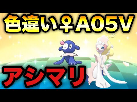 【ポケモンUSUM】色違い♀アシマリキタアアアアアアアア！！！【ウルトラサンムーン】