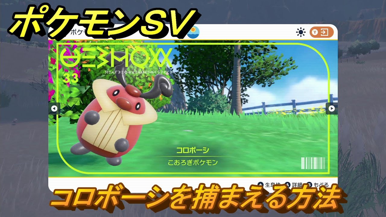 ポケモンＳＶ　コロボーシを捕まえる方法！出現場所は？図鑑No.３３　ポケモン図鑑を埋めよう！　【スカーレット・バイオレット】