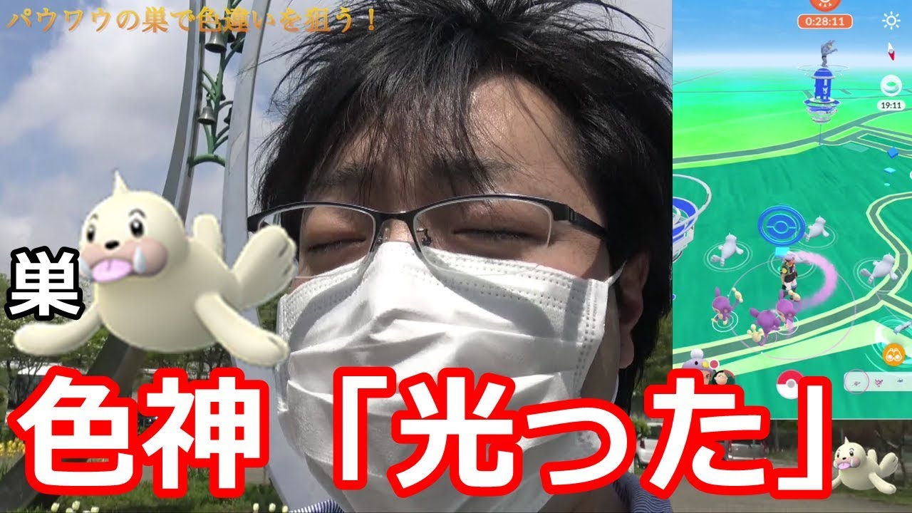 秋田にも絶対いる！パウワウの巣色違い奮闘記【ポケモンGO】