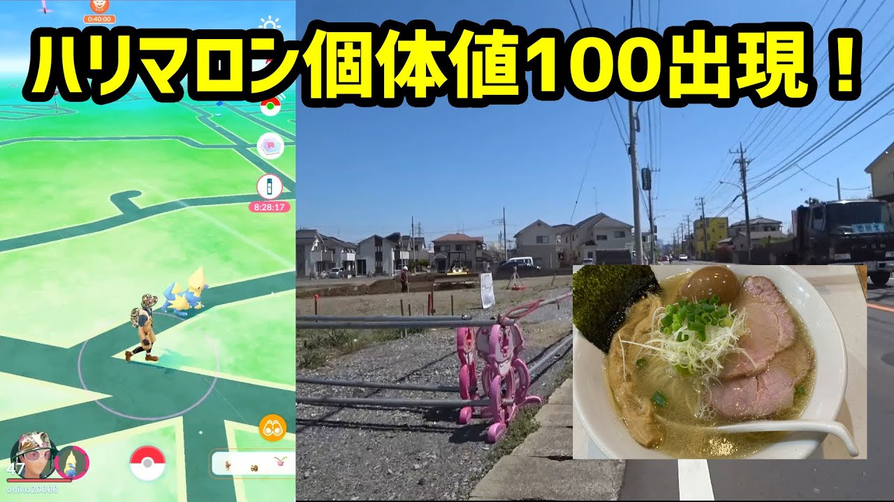 【ポケモンGO】遠方にハリマロンの個体値100出現、ゲットできるのか？