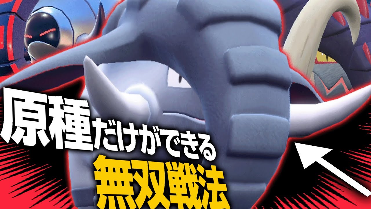 ドンファン、お前は神ポケモンかもしれない。【ポケモンSV】