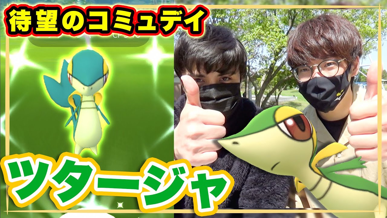 【ポケモンGO】待ってましたー!!ツタージャのコミュニティデイ!!色違いから100%を狙って葛西臨海公園で6時間フルでガチる!!【PokémonGO】