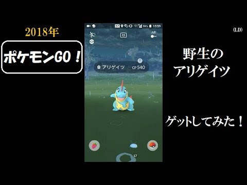 ☆ポケモンGO！☆ （野生のアリゲイツをゲットしてみた！の巻）・2018年