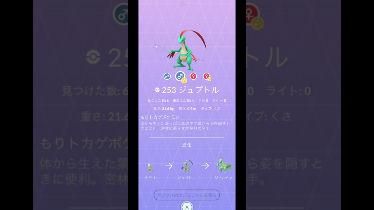 キモリからの〜【ダイパリメイク】色違いポケモン