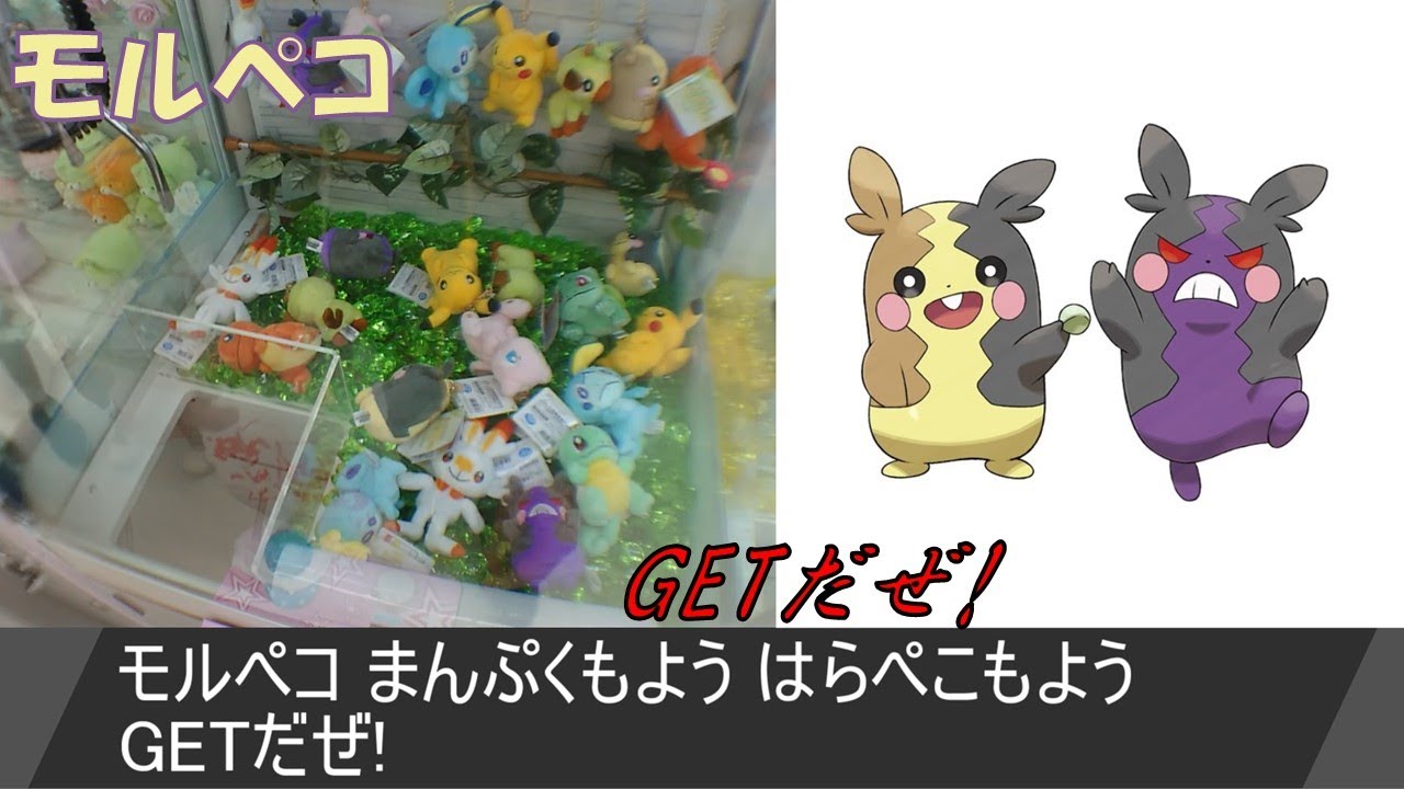 [UFOキャッチャー]モルペコまんぷくもようとはらぺこもようGETだぜ!