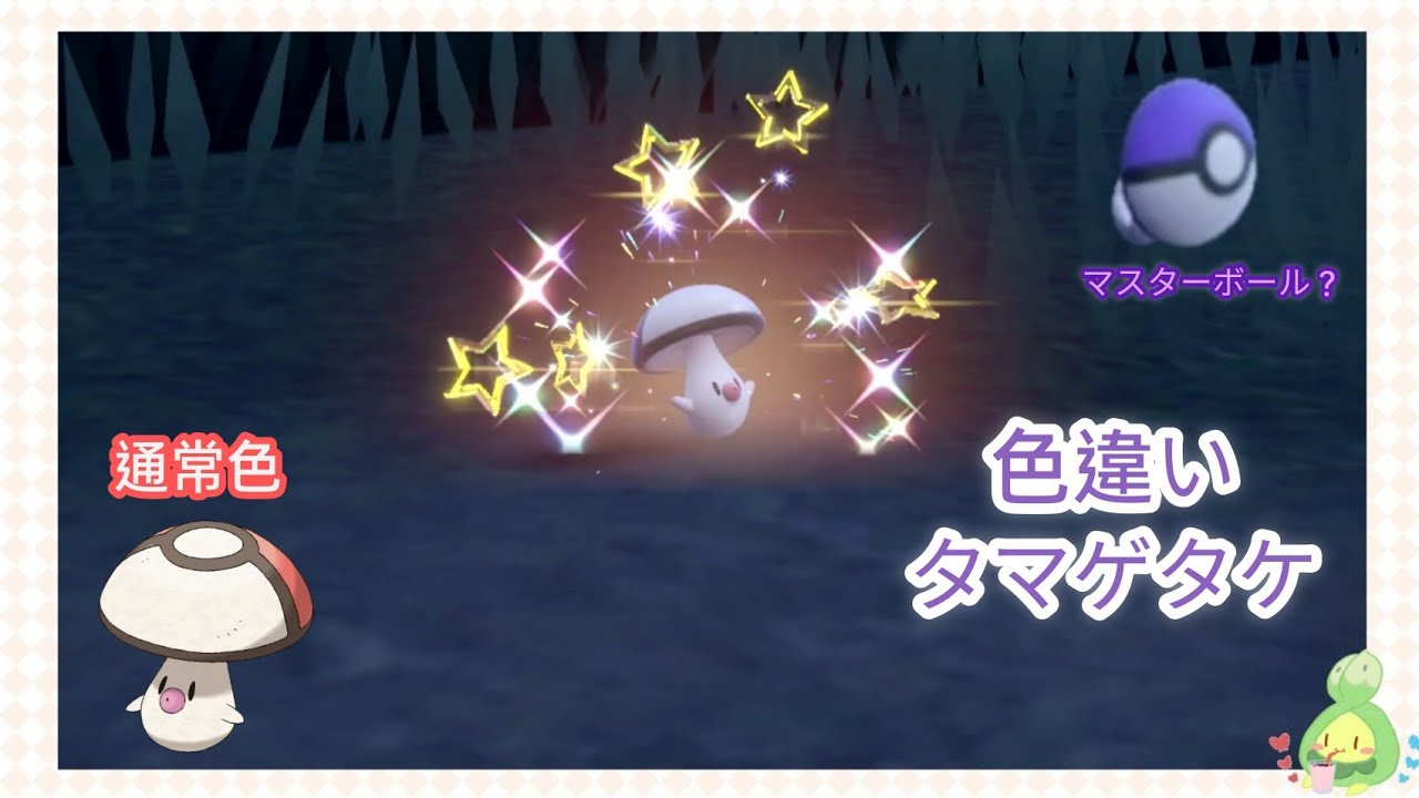 ポケモンSV 野生の色違いタマゲタケをゲット！ / 寶可夢朱紫 遇到野生色違哎呀球菇 / Pokemon SV Shiny Foongus