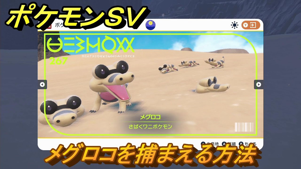 ポケモンＳＶ　メグロコを捕まえる方法！出現場所は？図鑑No.２６７　ポケモン図鑑を埋めよう！　【スカーレット・バイオレット】