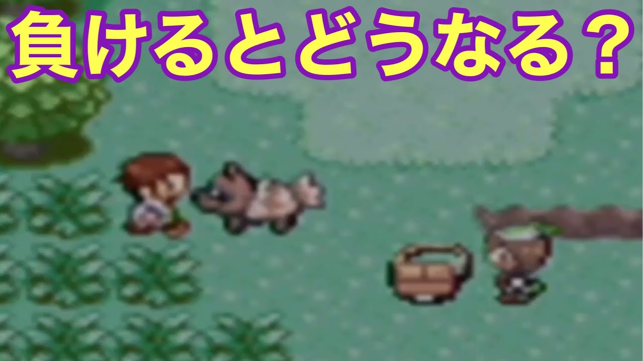 【小ネタ】最初の草むらでジグザグマに負けるとどうなるのか検証した【ポケモンRSE】