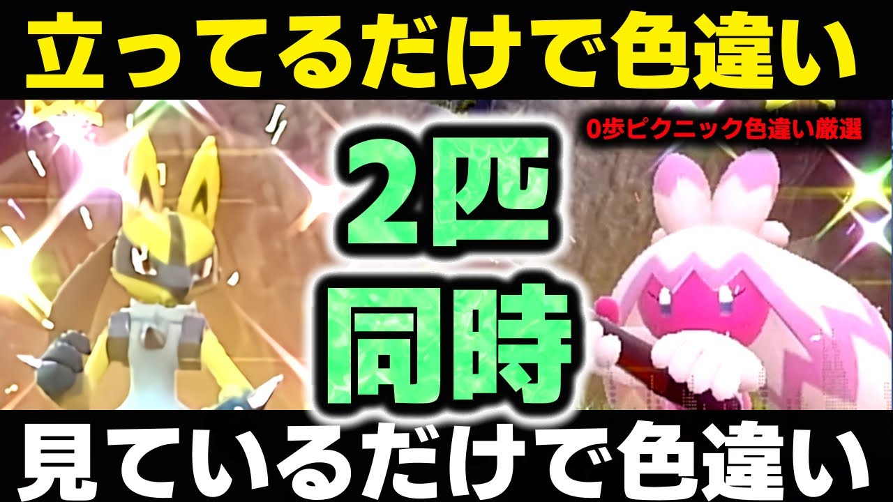 【放置】見てるだけ「ルカリオ」と「デカヌチャン」 を楽に色違い厳選する方法 0歩 半自動 大量発生不要 リオル ナカヌチャン ポケモンSV ポケモンスカーレットバイオレット スカバイ