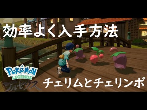 [レジェンズアルセウス] 攻略　チェリムとチェリンボの効率よく入手方法とその場所