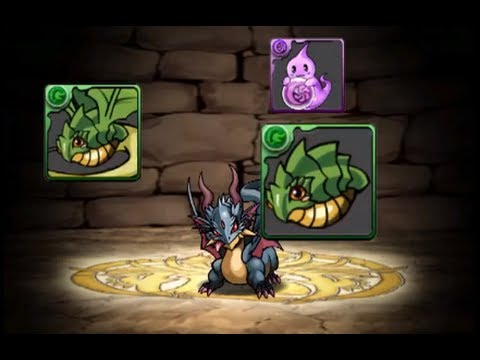 【パズドラ】 ブラックコドラ → ブラックドラゴン　進化合成