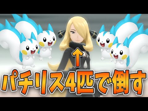 パチリスだけでシロナと四天王をぶっ倒す！！かわいいだけじゃなくてしっかり強い！パチリス軍団の逆襲！【ポケモンダイパリメイク】