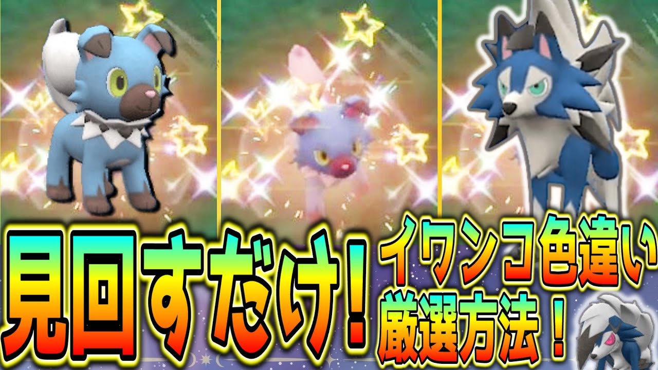 見回すだけ！イワンコ色違い厳選方法！【ポケモンSV】