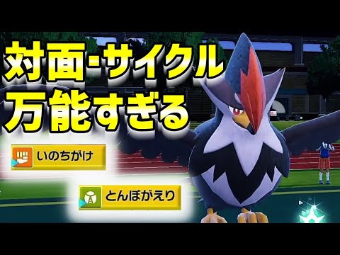 対面、サイクル、なんでもできるムクホークがガチで優秀すぎる【ポケモンSV】