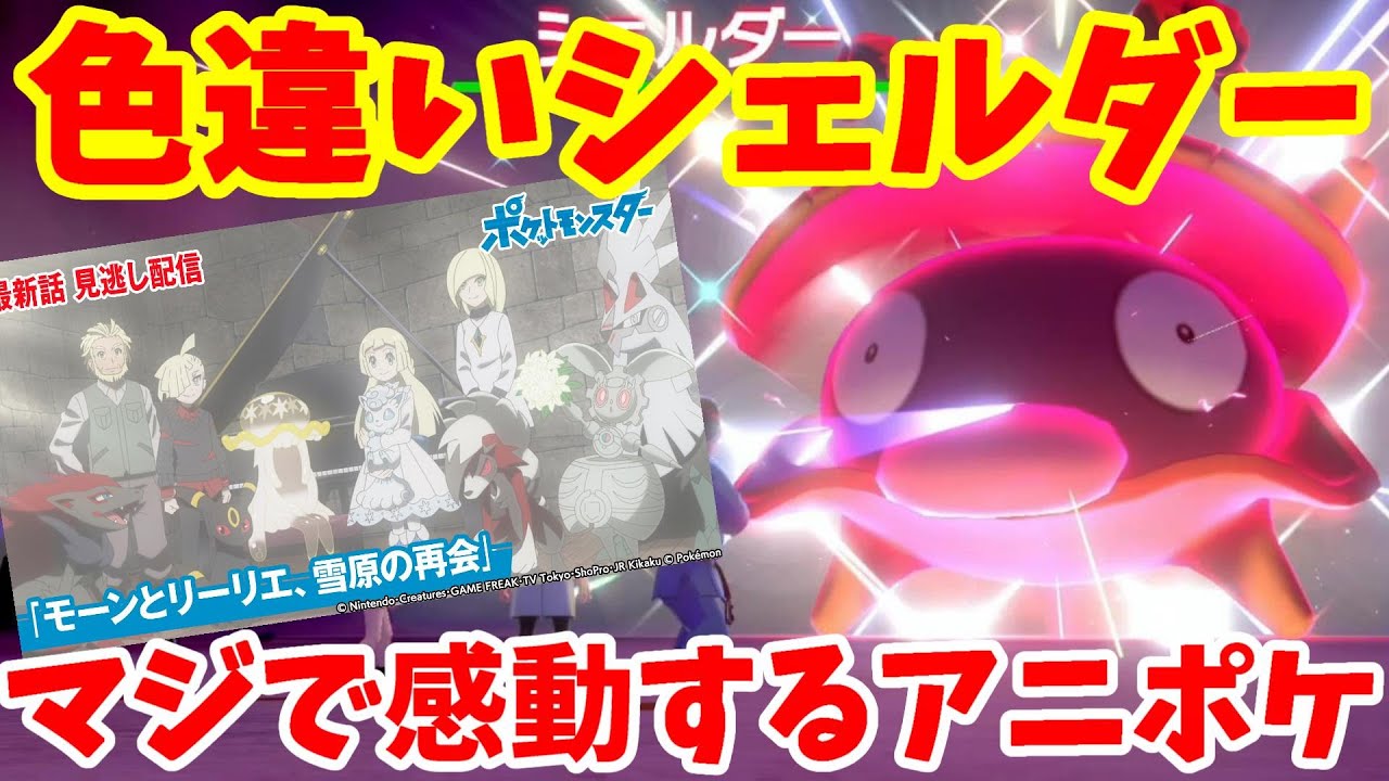 マジで感動ポケモンアニメ！剣盾は金色のシェルダー！色違いシェルダーイベントの結果！【ポケモンソードシールド】