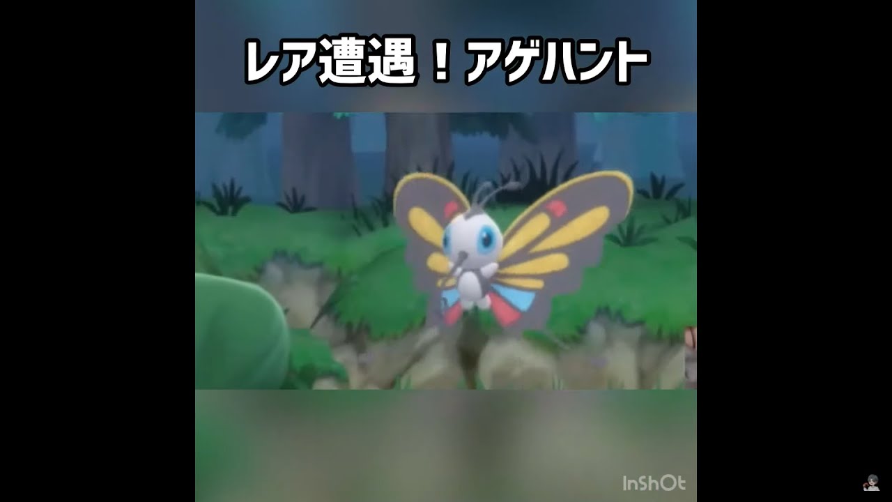 レア遭遇！アゲハント    #shorts #ゲーム実況者 #ゲーム配信 #ゲーム #ゲーム実況 #ポケモン #ポケットモンスター #ダイパリメイク #ダイパ #ポケモン剣盾