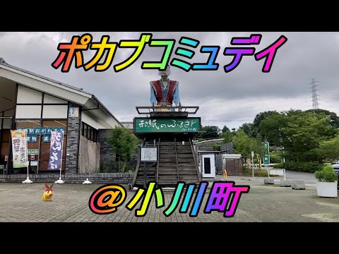 【ポケモンGO】ポカブコミュニティデイ！某ポケモンGOYouTuberのドッキリで砂30万失った男の末路。砂３倍でガチるはずがまったりお茶会に！？＠埼玉小川町