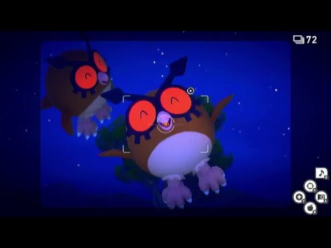 星4ホーホー　5536点