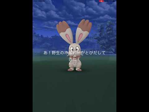 【ポケモンGO】初めて、野生のホルビーに遭遇！